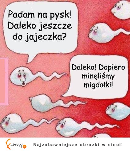 Biedne plemniki, troche sie napracowały! HAHA MOCNE!