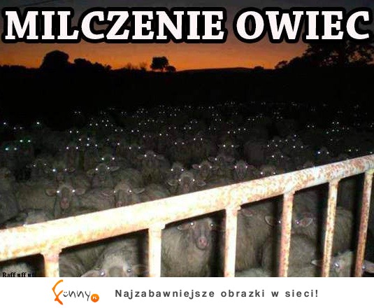 Milczenie owiec