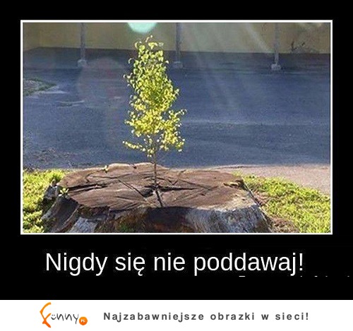 Nie poddawaj się