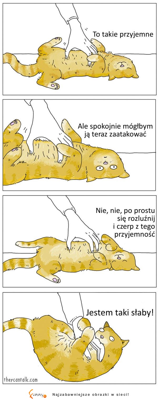 Co by było, gdyby zwierzaki potrafiły mówić Co by było, gdyby zwierzaki potrafiły mówić