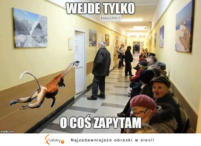 tylko zapytam