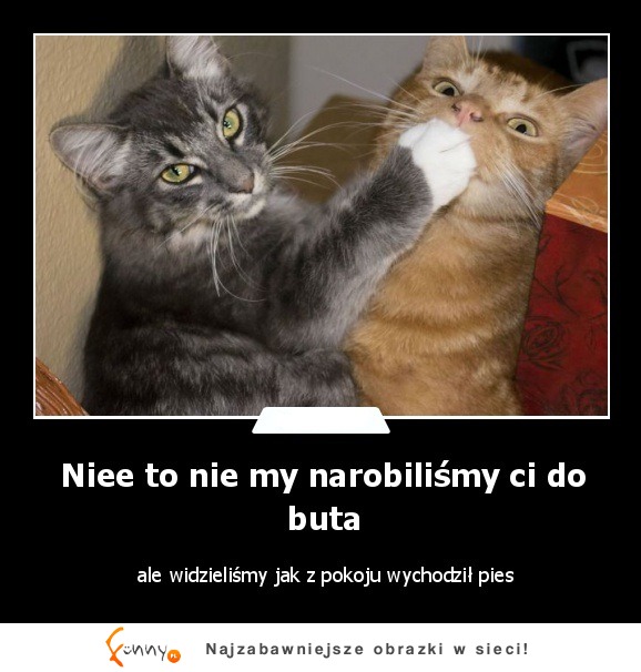 Niee to nie my narobiliśmy ci do buta :)