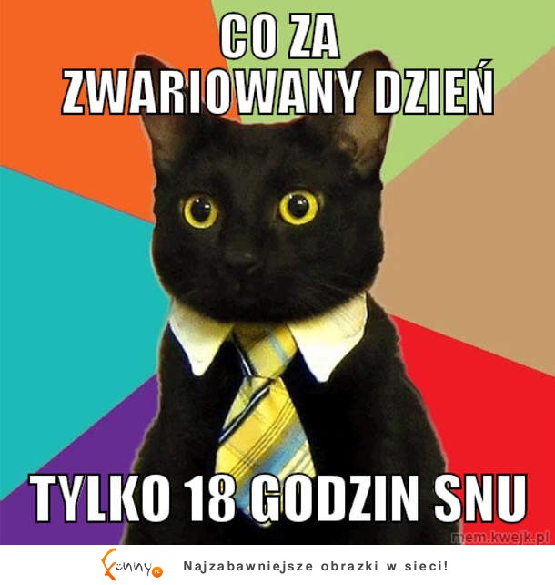 Co za zwariowany dzień