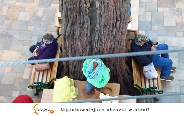 Zabawni dziadkowie, którzy poprawią Ci humor! Zabawni dziadkowie, którzy poprawią Ci humor!
