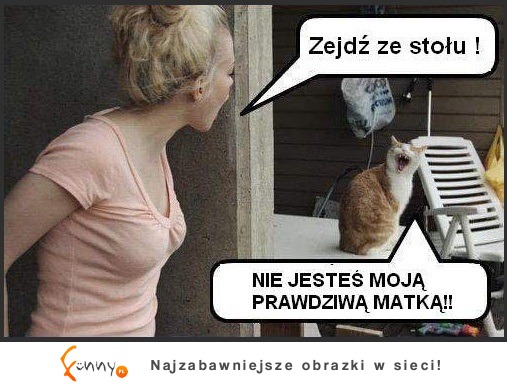 zejdź ze stołu!