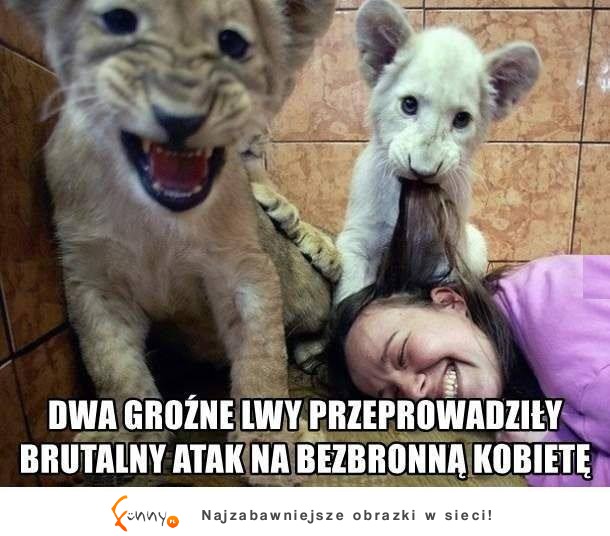 Brutalna atak na bezbronną kobietę