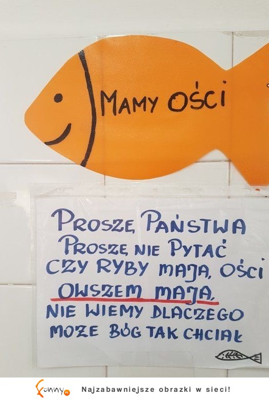 ryby mają ości
