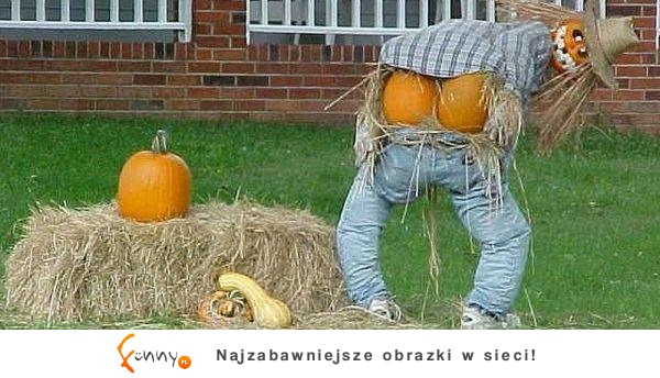 wesołego halloween