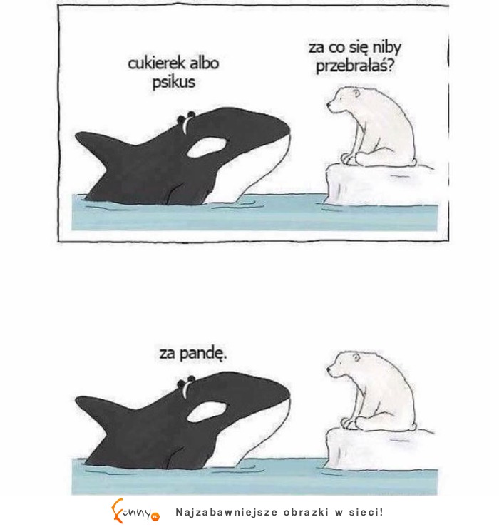 Za kogo sie przebrałeś