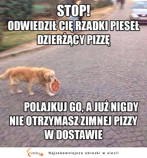 Rzadki pieseł