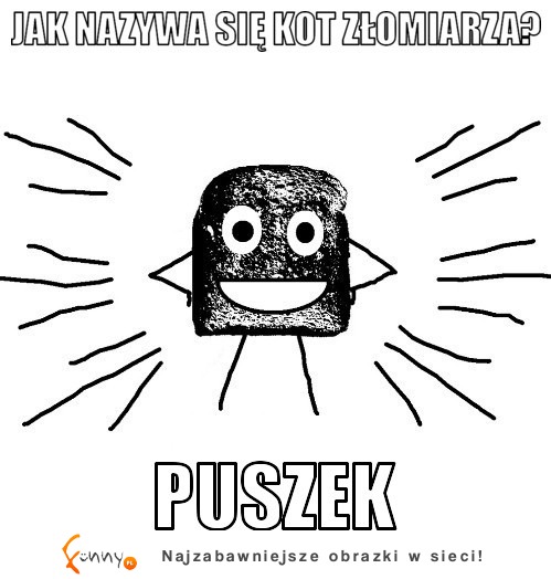 Jak nazywa sie kot złomiarza :)