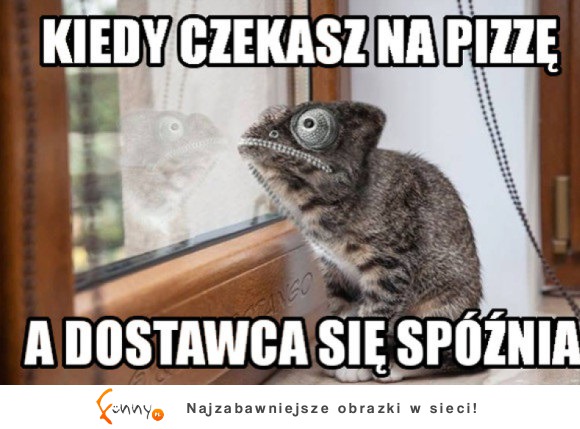 Kiedy czekasz na pizzę