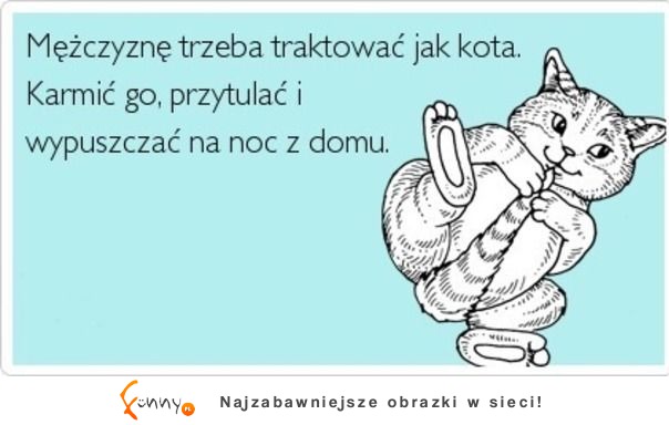 Mężczyznę trzeba traktować jak kota