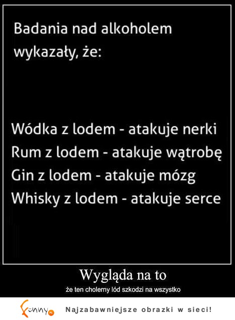 UWAGA! Pijesz AKKOHOL z LODEM! Musisz koniecznie zobaczyć co wykazały nowe BADANIA! Ale masakra :D