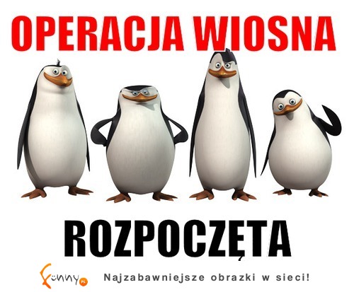 melduję :D