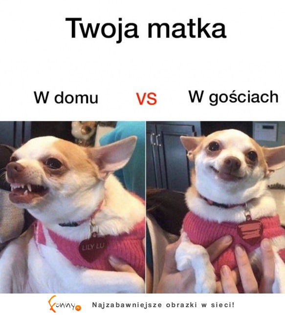 Twoja matka