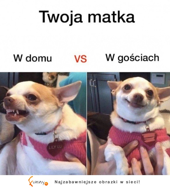 Matka