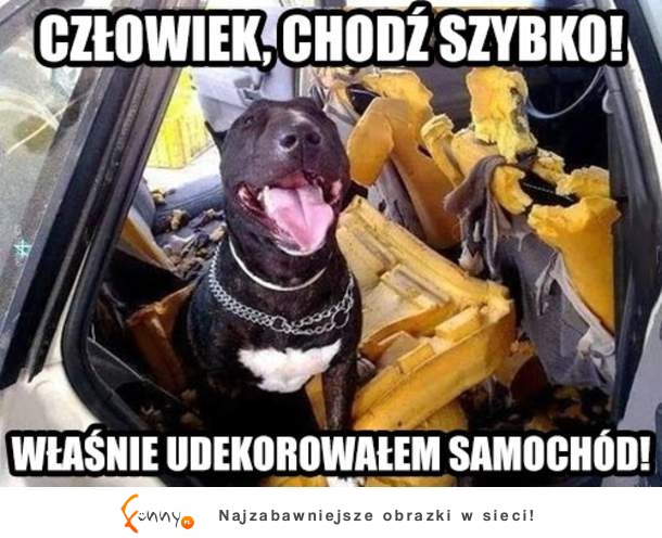 Człowiek szybko