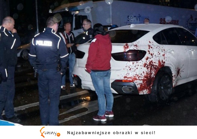 Takich aut jeszcze nie widzieliście! Takich aut jeszcze nie widzieliście!