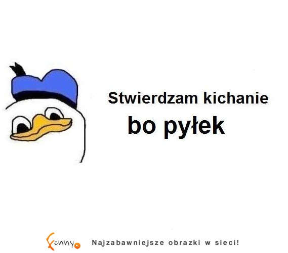 Bo pyłek..