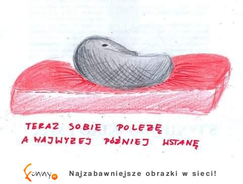 Teraz sobie poleżę a najwyżej... :D