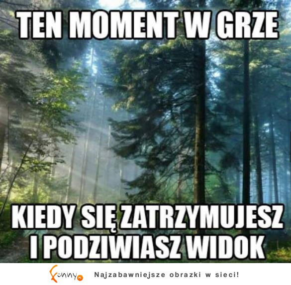 Kiedy sie zatrzymujesz