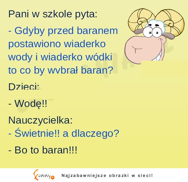 Dzieci szybko się uczą! Ale dogadały!