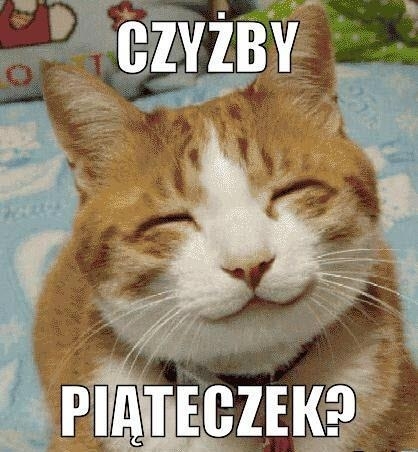 mrrrrrrrauu... piąteczek :D