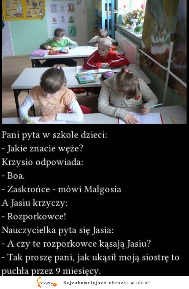 Pani pyta w klasie "Jakie znacie węże?" JASIO NAJLEPSZY :D