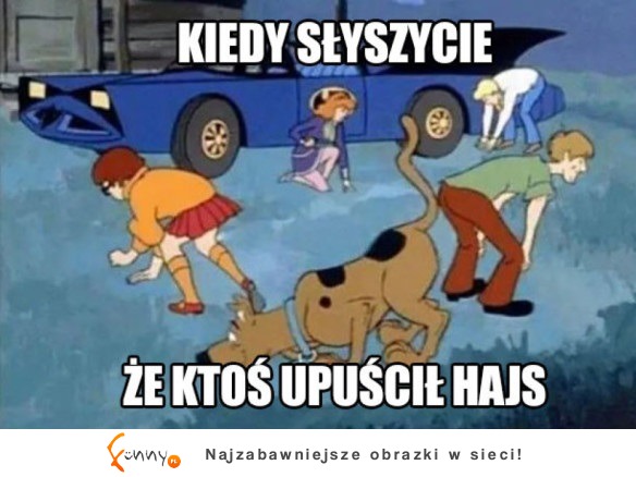 Wszyscy szukają