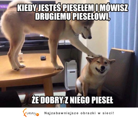 Fajny pieseł