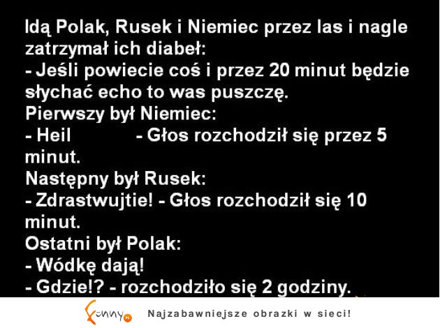 Idą Polak, Rusek i Niemiec przez las i nagle zatrzymał ich diabeł!