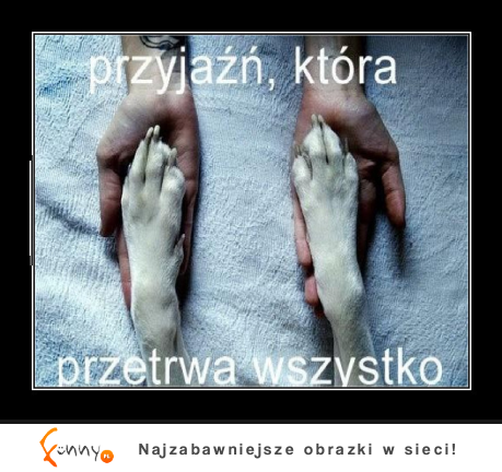 Przetrwa wszystko