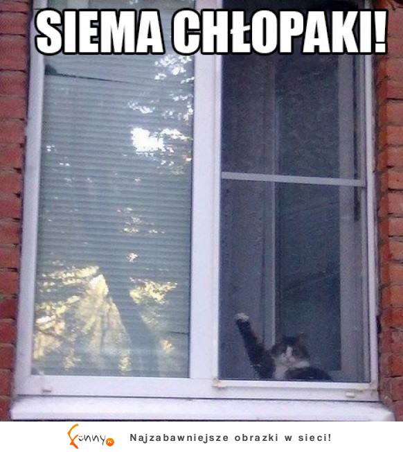 Siema chłopaki