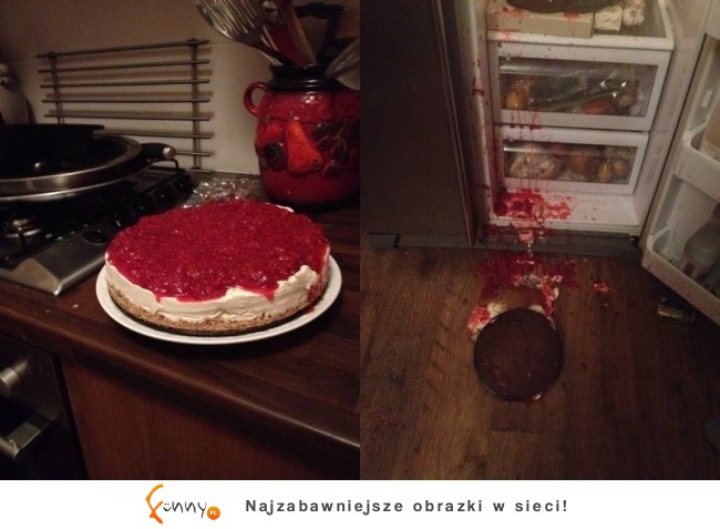 Oni mieli gorszy dzień od Ciebie! Kilka zdjęć na pocieszenie po ciężkim tygodniu Oni mieli gorszy dzień od Ciebie! Kilka zdjęć na pocieszenie po ciężkim tygodniu