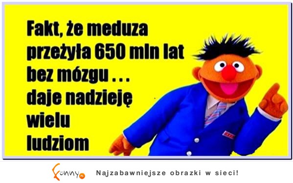 Meduza przeżyła 650mln lat...