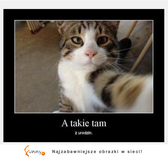 Takie tam :D