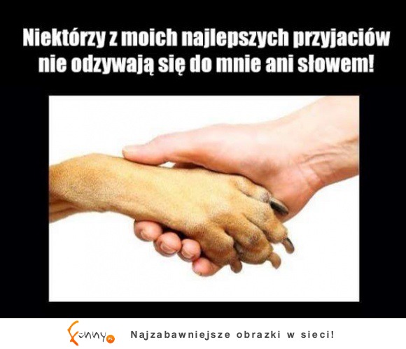 najlepsi przyjaciele