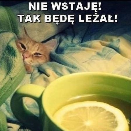 NIE WSTAJĘ!