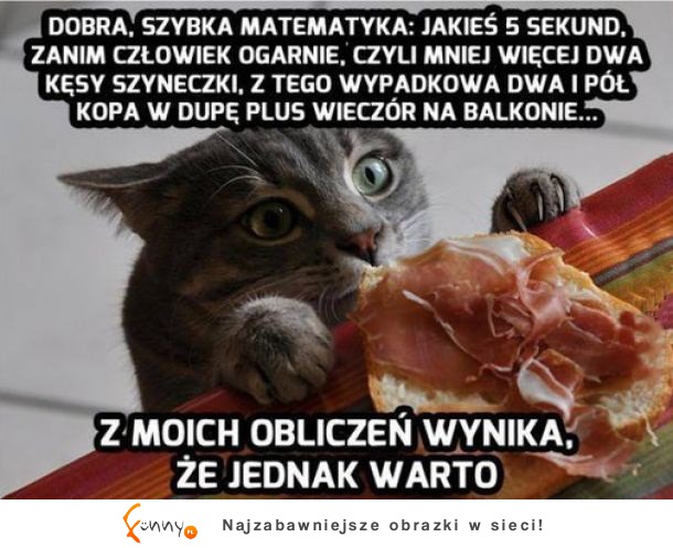 Opłaca się