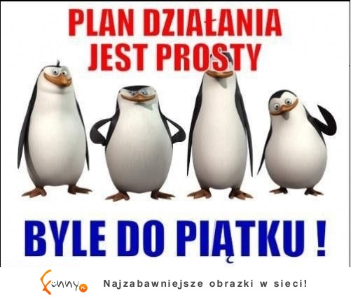 Plan działania jest prosty! :)