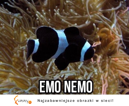 Emo Nemo