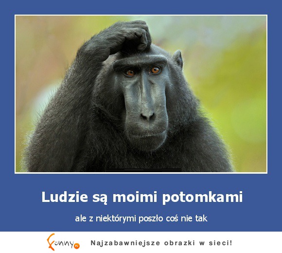 Ludzie są moimi potomkami