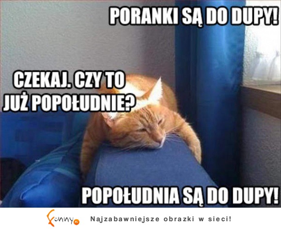 czekaj, czy to popołudnie?