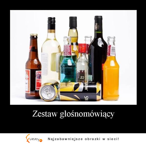 Zestaw głośno mowiący