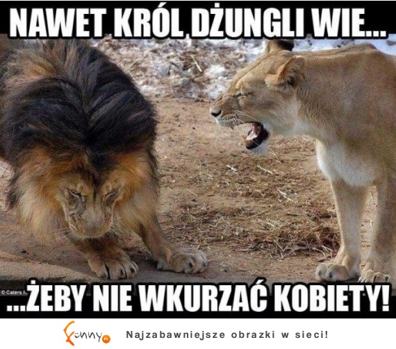 każdy wie :D