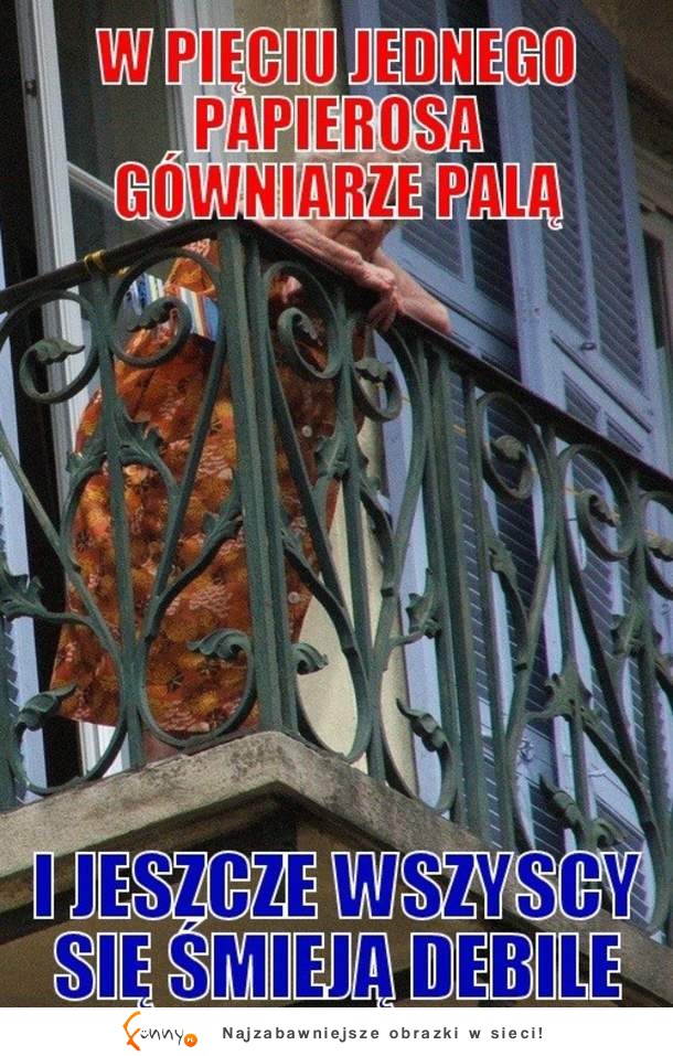 Osiedlowy monitoring - galeria :D