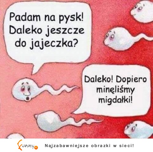 Zabłądzili