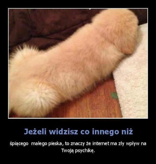 Co widzisz?