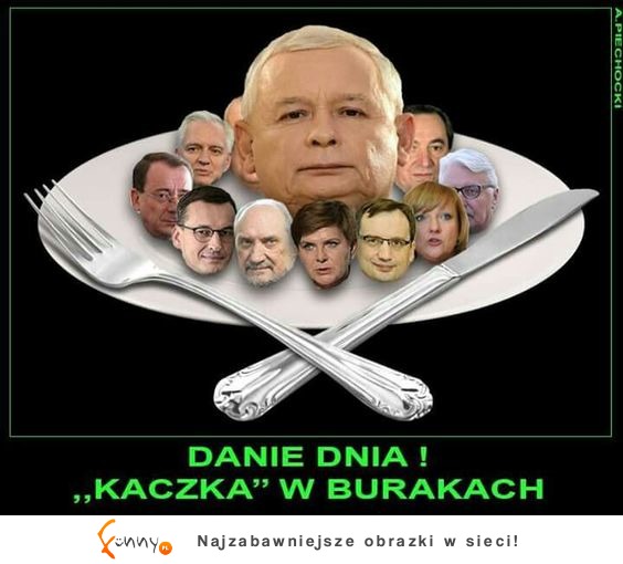 danie dnia